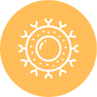 Genetic Insight (10)