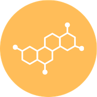 Genetic Insight (13)