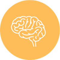 Genetic Insight (14)