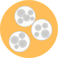 Genetic Insight (15)