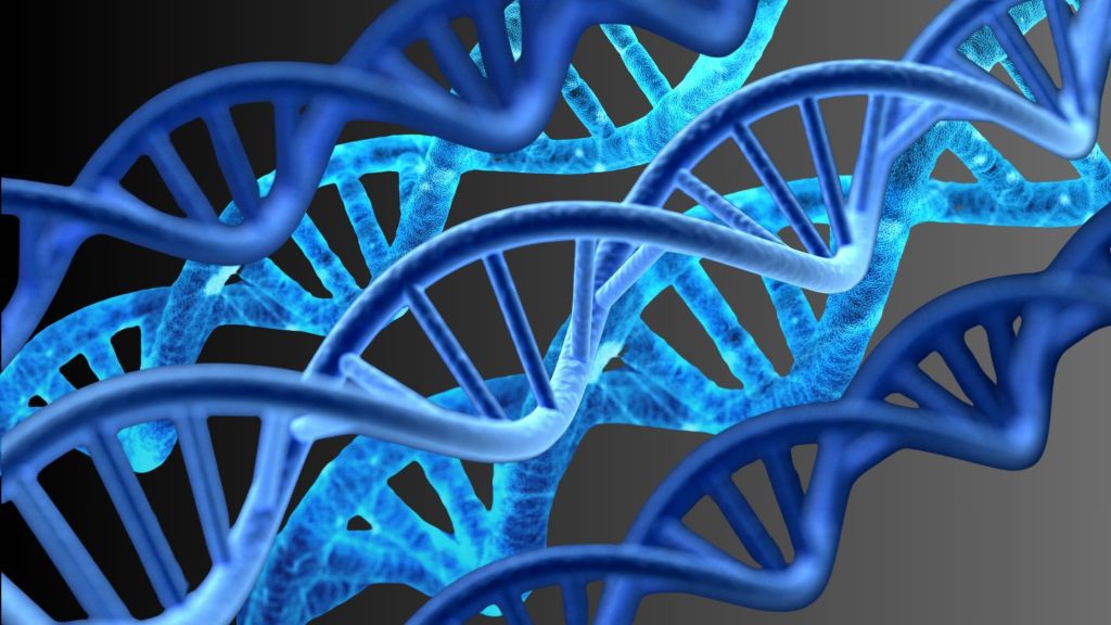 DNA testing for personalized wellness and preventive health planning