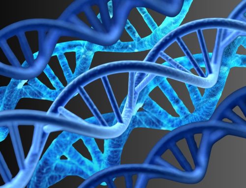 How DNA Testing May Help Personalize Wellness Strategies
