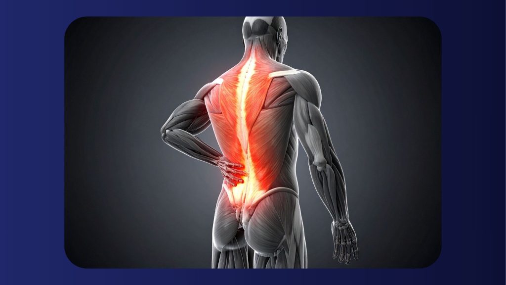 Inflammation and chronic conditions showing how persistent inflammation affects long-term metabolic health