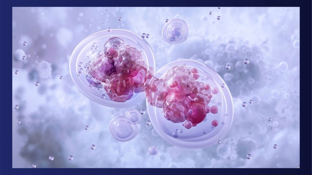 Cellular energy production through mitochondria and ATP