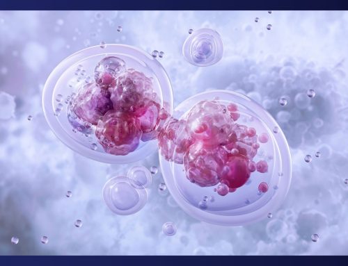 Understanding Cellular Energy Production